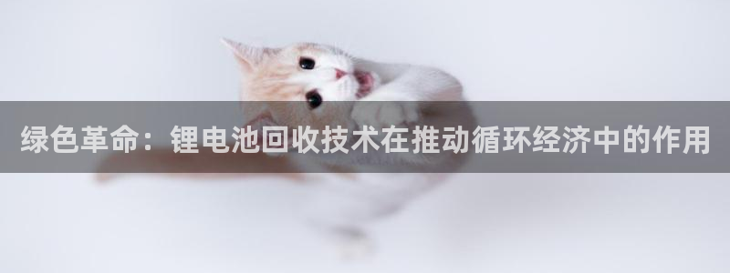 下载k豆钱包